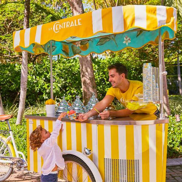 Constructeur de Chariot à glace artisanale sur Reims 51