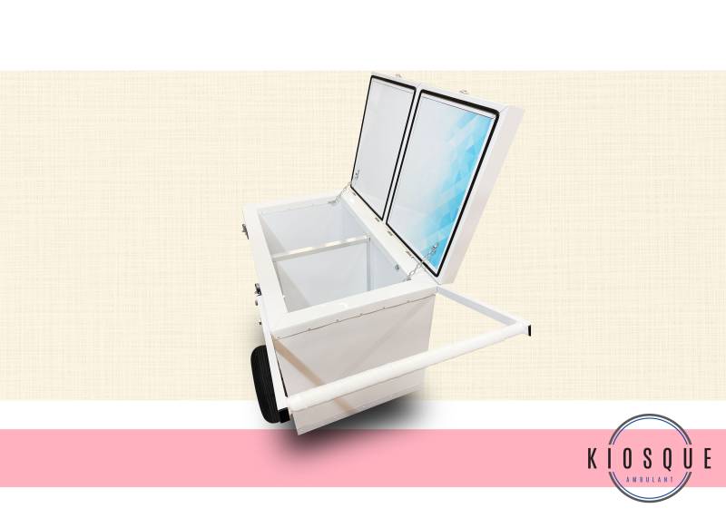 Acheter chariot ambulant isotherme pour la vente de produits réfrigérés à Bordeaux 33