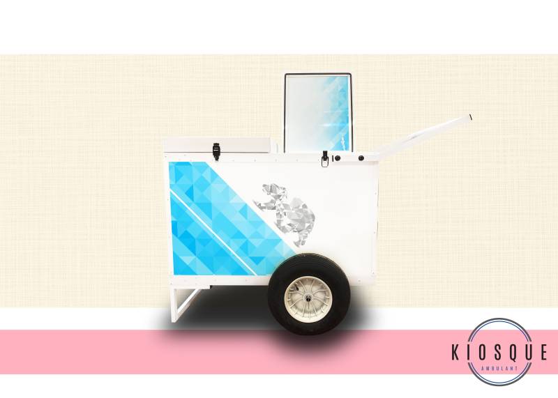 Informations chariot ambulant pour le stockage de produits congelés à Orléans 45