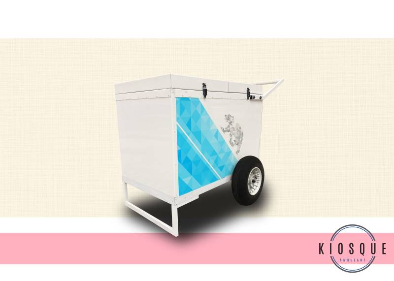 Prix chariot ambulant pour la vente de produits congelés à Lyon 69 ?