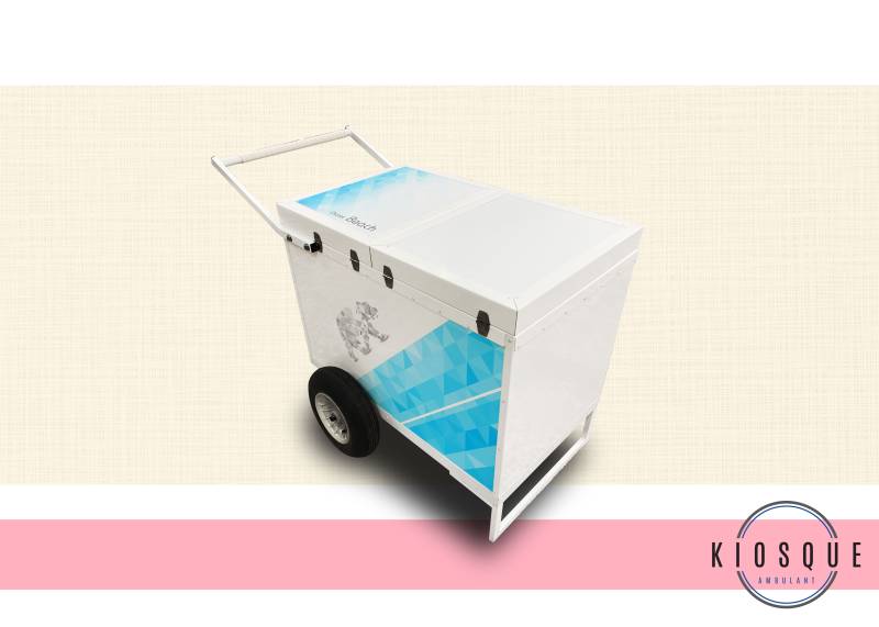 Achat stand ambulant pour le stockage de produits congelés à Strasbourg 67