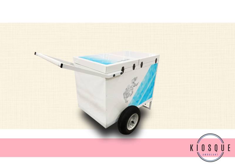 Achat chariot ambulant isotherme pour la vente de produits réfrigérés à Montpellier 34