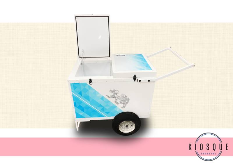 Acheter stand ambulant pour le stockage de produits frais à Rennes 35